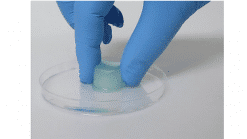 PosiSep X resorbable nasal spacer