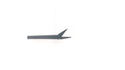 Bellucci Scissors Tip