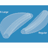 Breathe Easy Septal Splints